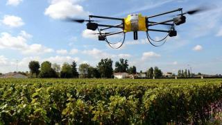 102071714-455240850.530x298  esse.jpg