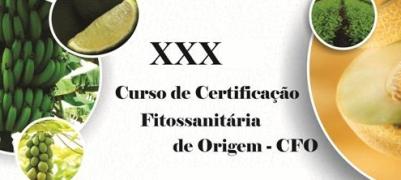 1467207351Curso_CFO_2016.jpg