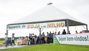 650x375_passarela-da-soja-e-do-milho_1495266.jpg