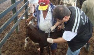 ADAB FOTO VACINA.jpg