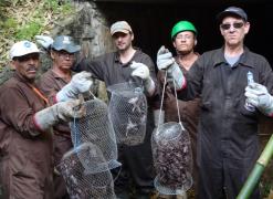 ADAB comemora dia Mundial contra a Raiva com palestras educativas sobre a doença em herbívoros.jpg