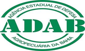 ADAB-abre-vagas-para-Auxiliares-de-Fiscalização-e-Técnico-de-Nível-Superior-há-1-vaga-para-Morro-do-Chapéu.jpg