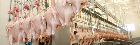 Adab faz doação de frangos para comunidades carentes.jpg