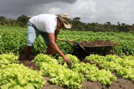 Agroecologia em Maracás.jpg