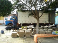 Apreensao de Pintos 01.jpg