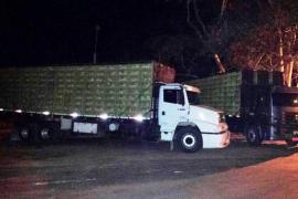 ApreensaoAvesConquista (1) (1).jpg