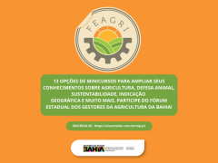 Cópia de CAMARAO 2.pdf (Apresentação (43)).png