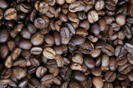 Café1-Manuela Cavadas.JPG