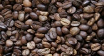 Café1-Manuela Cavadas_2_1.JPG