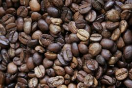 Café1-Manuela Cavadas_3.JPG