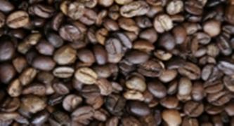 Café1-Manuela Cavadas_4_0.JPG