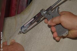 Campanha Aftosa_Heckel_Junior.jpg