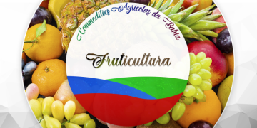 Capa da matéria_1.png