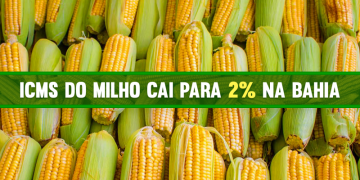 Capa matéria ICMS milho.png