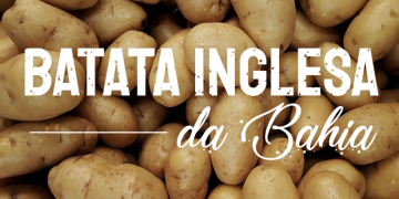 Capa matéria batata da bahia.png