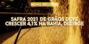 Capa matéria grãos novo recorde.png