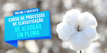 Capa matéria inscrições algodão 2.png