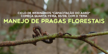 Capa matéria webinários.png