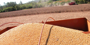 Capa materia grãos maquinas.png