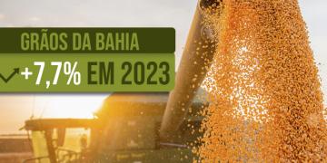 Capa_Grãos da Bahia 2.jpg