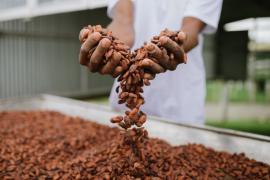 Chocolat Bahia - 9 Festival Internacional do Cacau e Chocolate acontece de 20 a 23 de julho em Ilhéus_Foto Ana Lee (copy).jpg