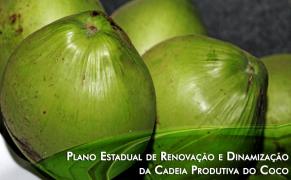 Coco1-Silvio Avila-Ed.Gazeta_0.jpg