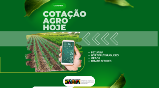 Cotação (800 × 600 px) (1600 × 888 px).png