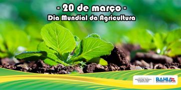 Dia Mundial da Agricultura face.jpg