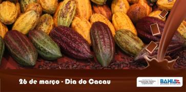 Dia Mundial do Cacau _site_0.jpg
