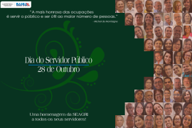 Dia do servidor final.png