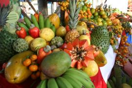 FOTOS FENAGRO 2010 066_2.jpg