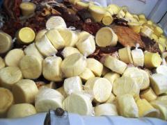 Fiscalizacao Encruzilhada 01.jpg