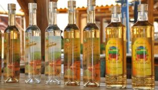 Foto Abaira EBDA.jpg