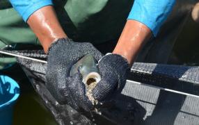 Foto Bahia Pesca.jpg