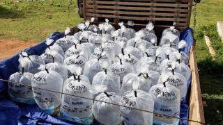 Foto Peixamento Santa Maria_Easy-Resize.com_.jpg