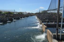 Foto1 Bahia_pesca.jpg