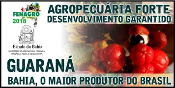 GUARANÁ-SEGUNDA FEIRA.jpg