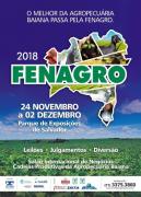 IMG-20181105-WA0071 500.jpg