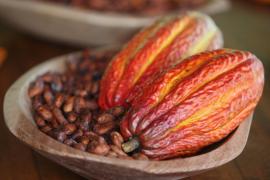 Imprensa Fazenda Engenho D'agua 02_1.jpg