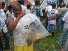 ItapetingaDoação Peixes1105.jpg