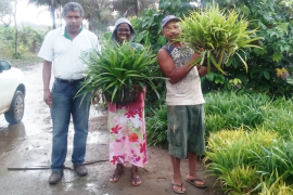 Jardins Clonais em Valença 02.png