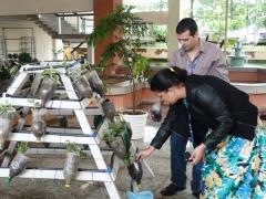 Oficina orienta trabalhadores do Serpro a montar horta vertical.(1).JPG