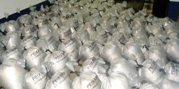 PEIXAMENTO (1) final.jpg