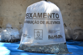 PEIxamento Imagem_0.png