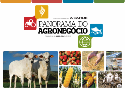 Panorama Agronegócio.png