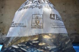 Peixa Tilápia(1).JPG