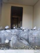 Pescadores de Barra da Estiva recebem alevinos e curso de capacitação.jpg