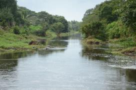 Rio Cachoeira 5(1).jpg