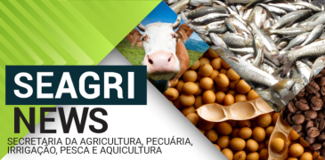SEAGRI-NEWS-capa.png