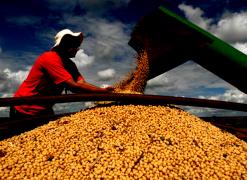 Soja1-Silvio Avila-Ed.Gazeta_2.jpg